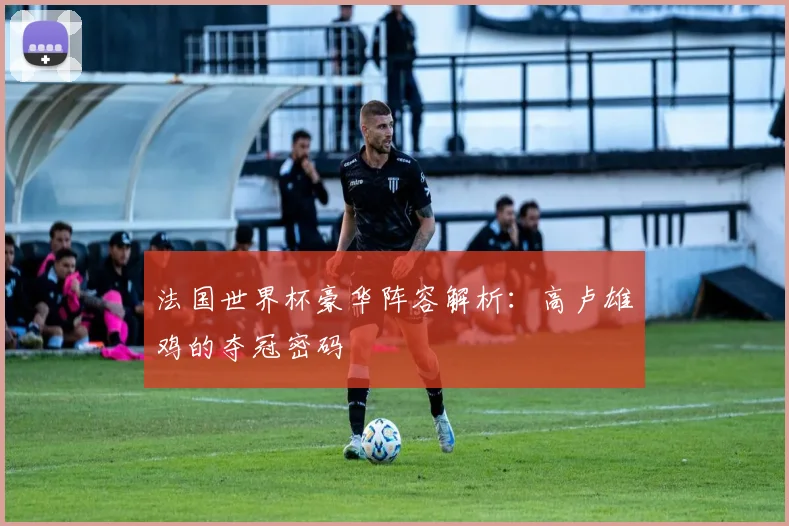 法国世界杯豪华阵容解析：高卢雄鸡的夺冠密码